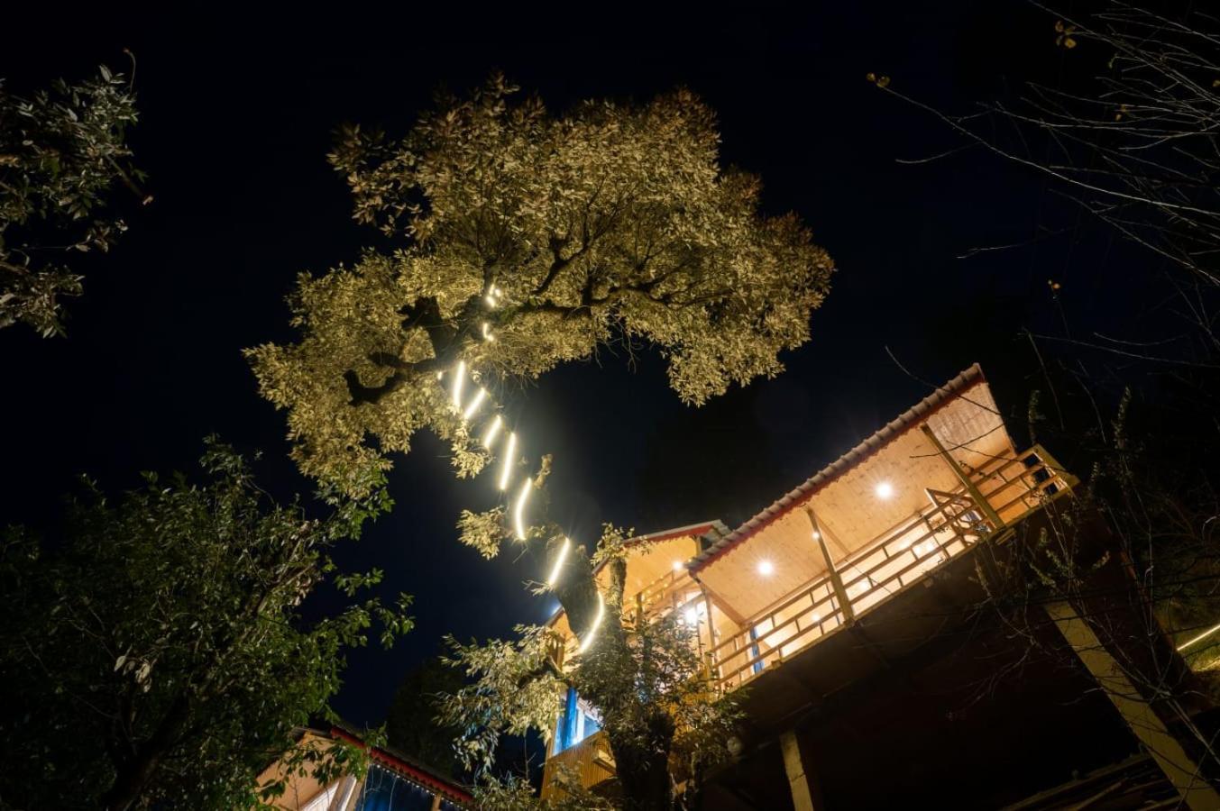 Into The Woods Treehouse Jibhi 빌라 외부 사진